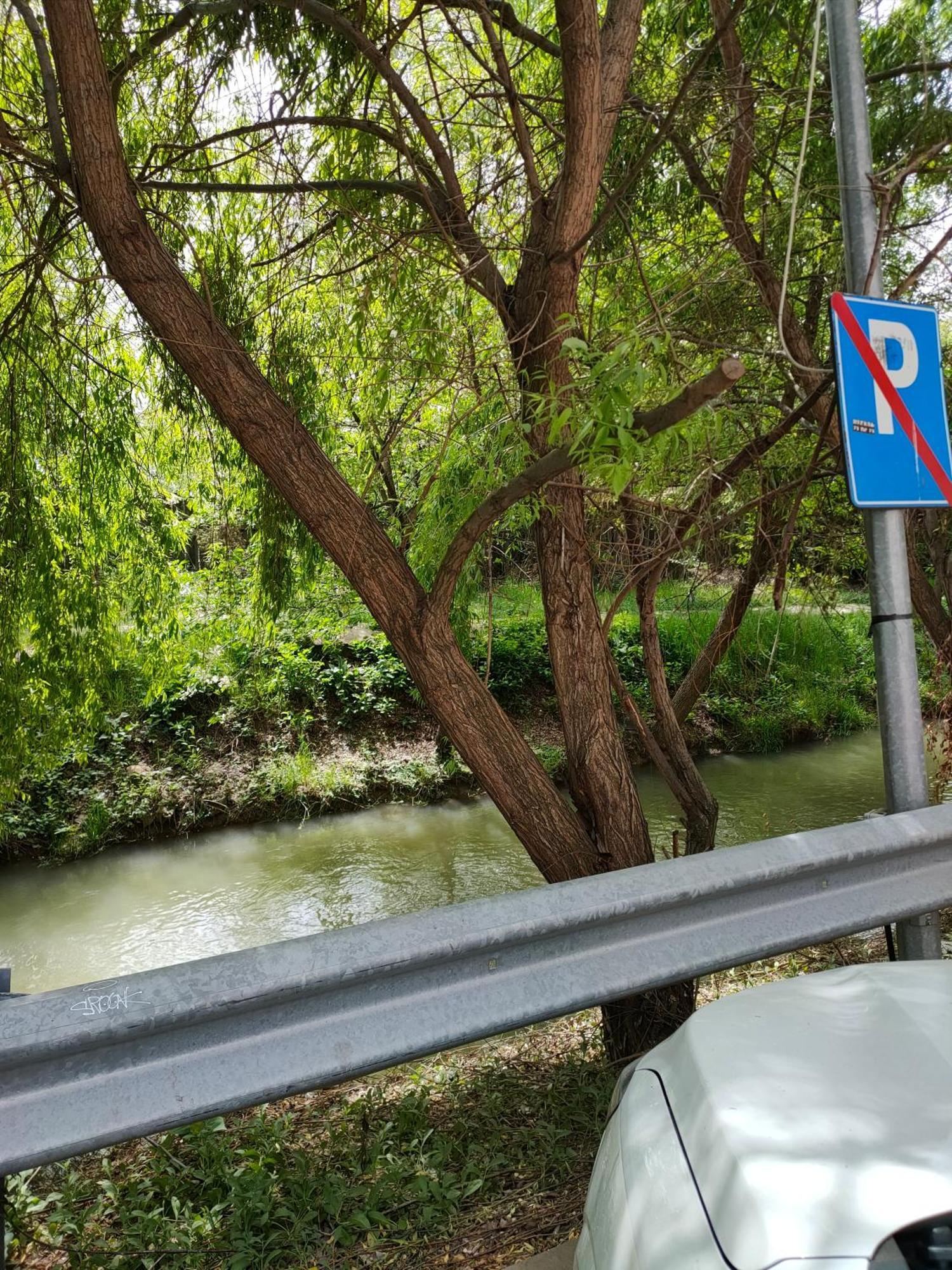 Cozy Apartment Bucharest Roşu Eksteriør bilde